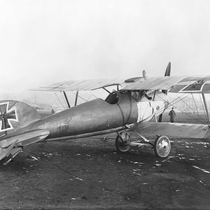 Albatros D.V no. D.5390/17,  France, 1917 (3)