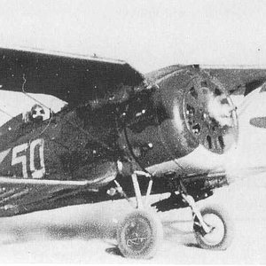 Polikarpov I-153 "White 50"