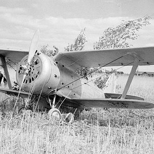 Polikarpov I-153 "Red 12" (1)