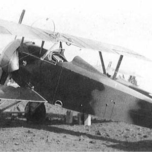 Nieuport 16 no. N830