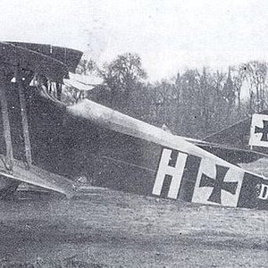 Halberstadt D.II no. D.805/16