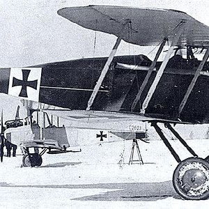 Halberstadt D.II no. D.818/16