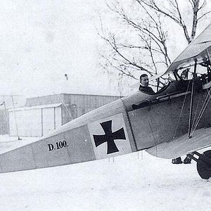 Halberstadt D.II  no. D.100/16