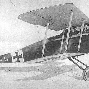 Halberstadt D.II no. D.818/16