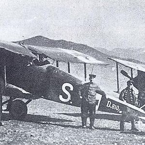 Halberstadt D.II no.D.810/16, "S" and no. D.813/16, "D."