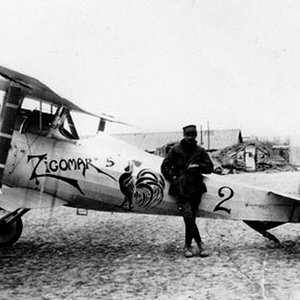 Nieuport 24bis  no. N3588 "Black 3 - Zigomar 5",  Escadrille 62