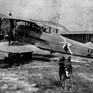 SPAD S.XIII C.1, Escadrille 3, 1917