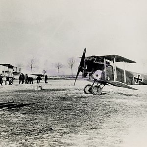 Fokker D.II, 1916