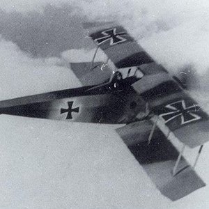 Fokker D.II in flight (1)
