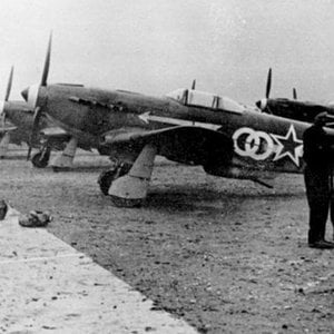 Yak-3 "White Double Circle" of the Normandie-Niemen Regiment