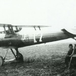 Nieuport 28C1 "White 17" (1)