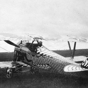 Nieuport 24C1 (3)