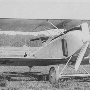 AEG C.VIII (2)