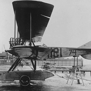 Albatros W.1 no. 74
