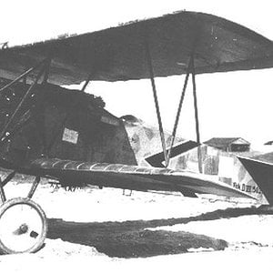 Fokker D.VII no. 502/18 1918 (2)