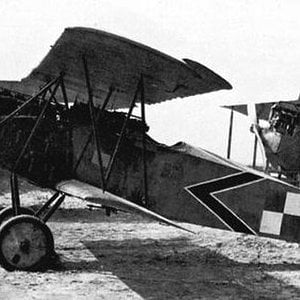 Fokker D.VII no. 502/18 1918 (1)