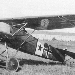 Fokker E.V/D.VIII,  Jasta 36  (2)