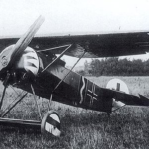 Fokker E.V/D.VIII, Jasta 6, 1918