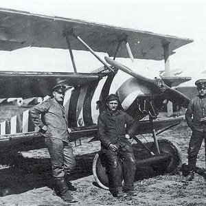 Fokker Dr.I no. 504/17