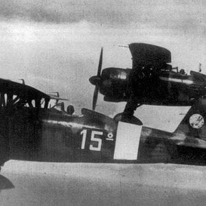 Fiat CR.42 Falco, Libya, 1942