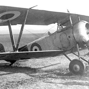 Nieuport 17 no. A6684, 29 Squadron RFC