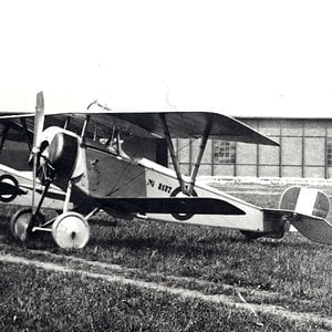 Nieuport 11 no. 2137, Italian AF