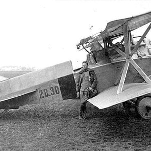 Hansa-Brandenburg D.I no. 28.30, Flik 16