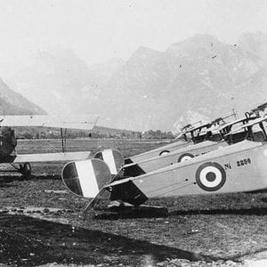 Nieuport 11 no. 2236, Italian AF