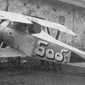 Nieuport 17 s/n 233598, 19 KAO, Russia, 1917