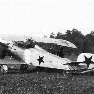 Nieuport 17 of the Baltic Fleet,  VVS RKKA