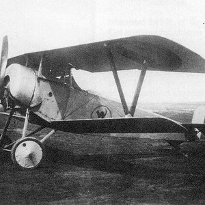 Nieuport 11, Romanian AF
