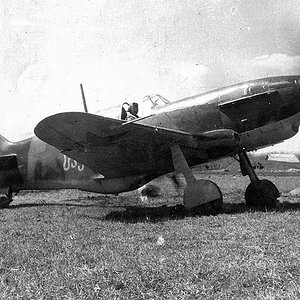 LaGG-3 "White 915". 88 IAP, 1943