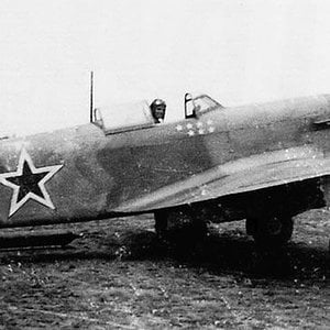 Yak-9T "White 81", 236 IAD
