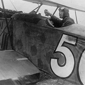 Fokker D.VII,  captured,  Col. Billy Barker,  Canada 1919 (2)