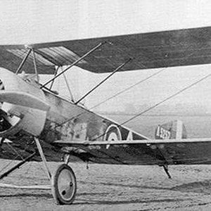 Sopwith 1½ Strutter no. A5252