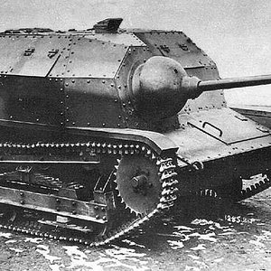 A  Polish scout tankette TKS armed with 20mm gun (1)
