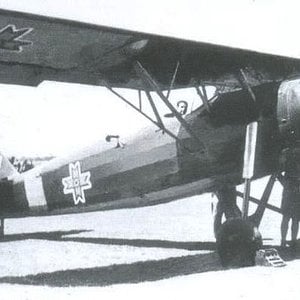 RWD-14 Czapla, Romanian AF