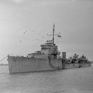 HMS Whitshed (1)