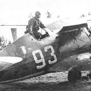 Polikarpov I-153 "White 93", 71 IAP, 1942 (2)