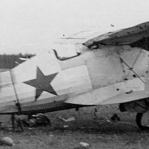Polikarpov I-153 "Red 5",  1941