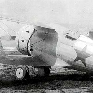 Polikarpov I-153 "Red 5" (2)