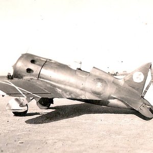 Polikarpov I-16, Spain,  1940