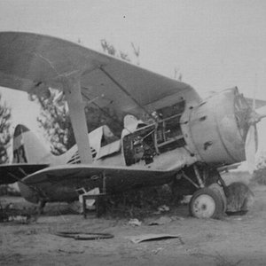 Polikarpov I-153 damaged and captured in 1941