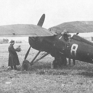 PZL P-11c "White 8" captured in 1939