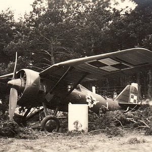 PZL P-7 "Blue 1", 151 FS,  1939 (4)