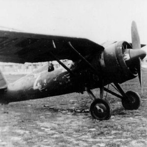 PZL P-11c "White 4",  1939