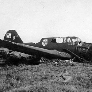 Shot down PZL 23 Karaś "White 8", 41 Squadron, 1939 (1)