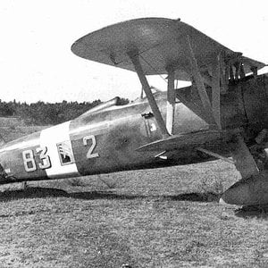 Fiat CR.42 Falco no.83-2, Regia Aeronautica in  Belgium, 1940