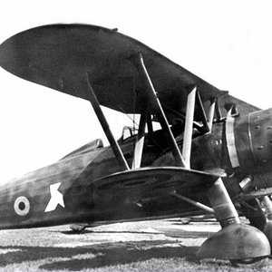 Fiat CR.42 "White 5", Belgian AF