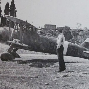 Fiat CR.42  Falco, 70 Squadriglia,  23 Gruppo, Regia Aeronautica